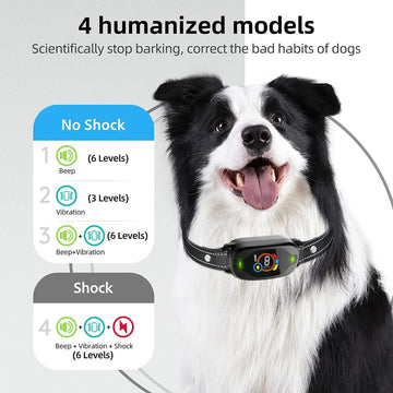 PawVerse™ Smart Collar