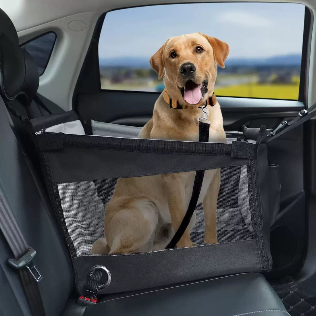 PawVerse™ Car Seat